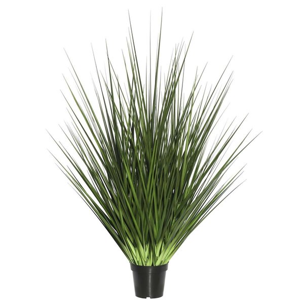 Grandoldgarden X166 Everyday Grass In Pot - 48 in. GR873872